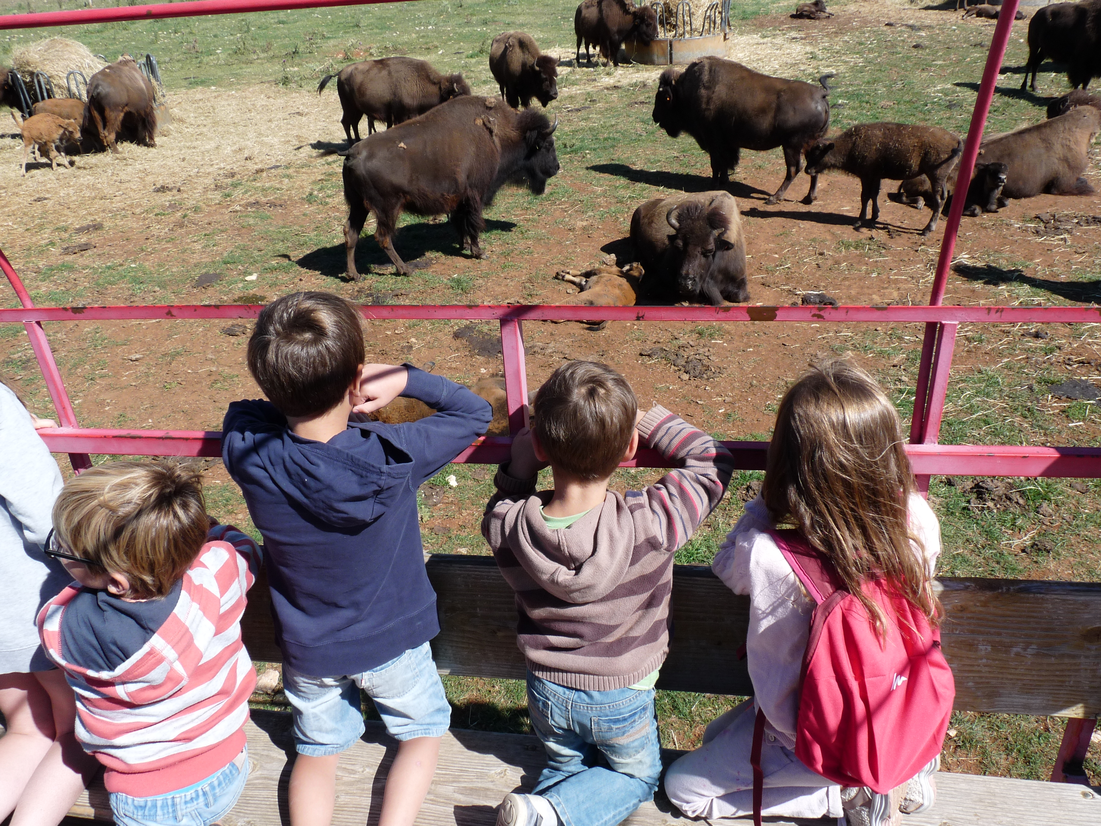 Image de présentation